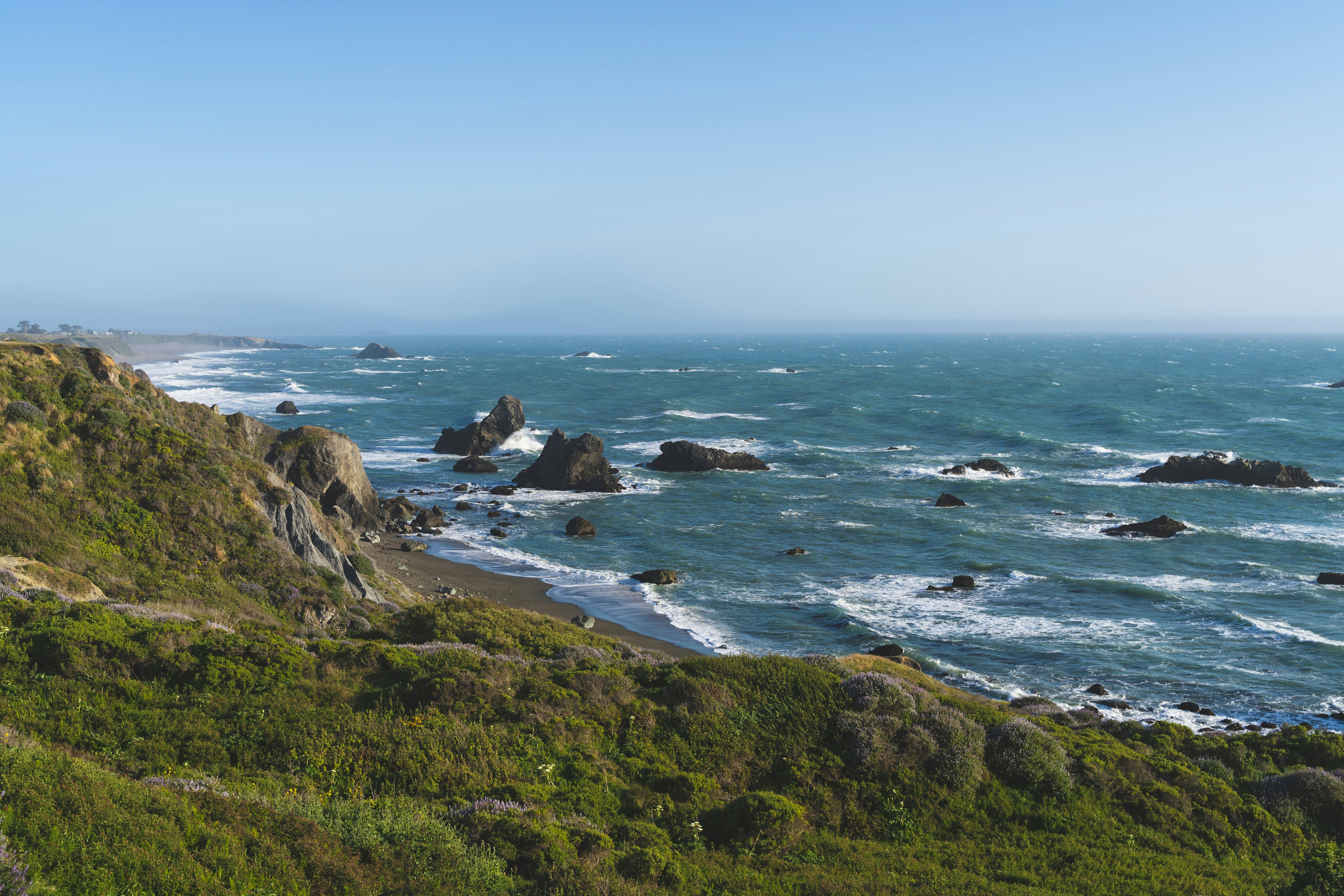 Coastal landscape at Bodega Bay, Sonoma County
